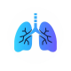 Lungs